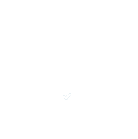 Declaration of<BR>Security Form